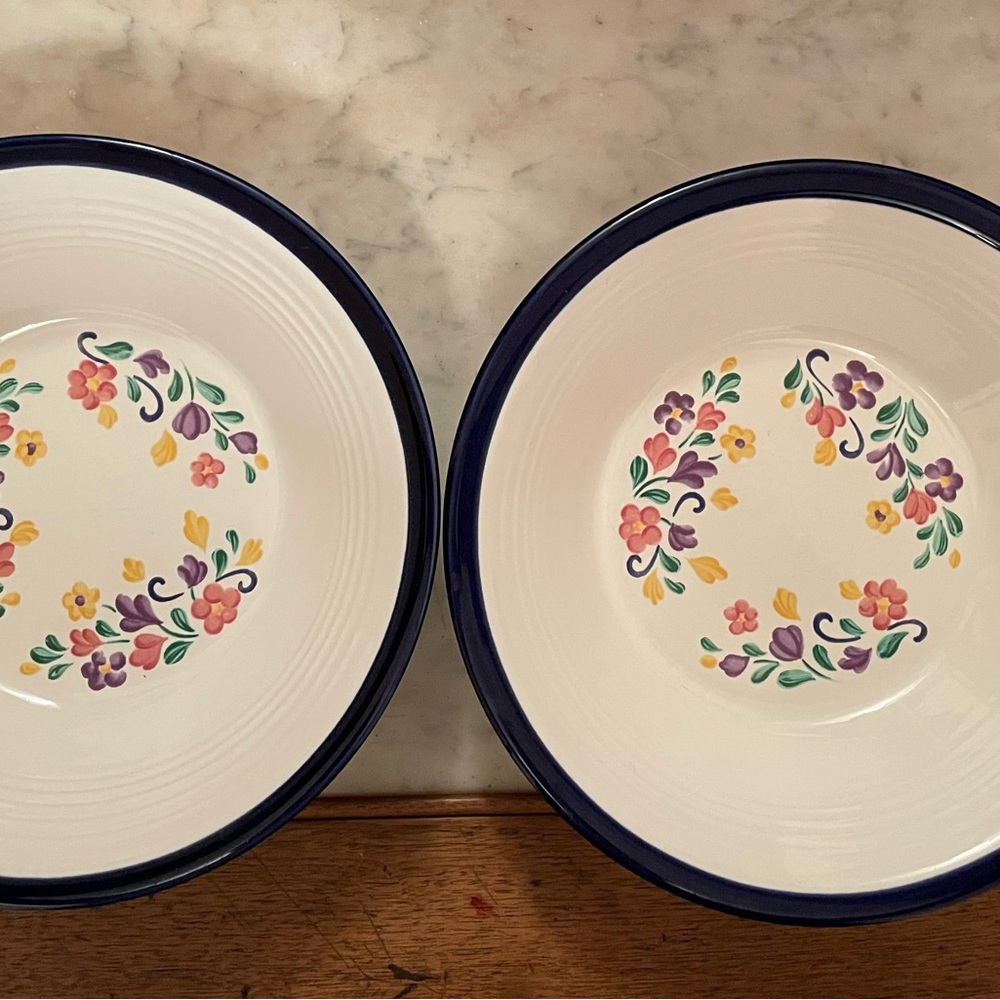 Vintage Spectrum Floral Stoneware Soup Bowls.  Rare find -Discontinued Pattern.